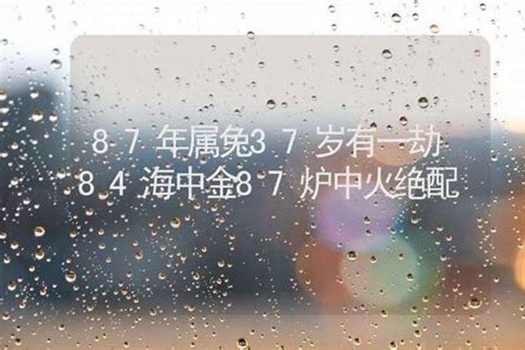 1988年属龙的人婚配