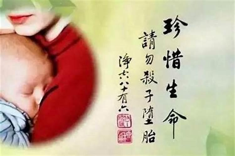 堕胎后的宝宝到哪去了