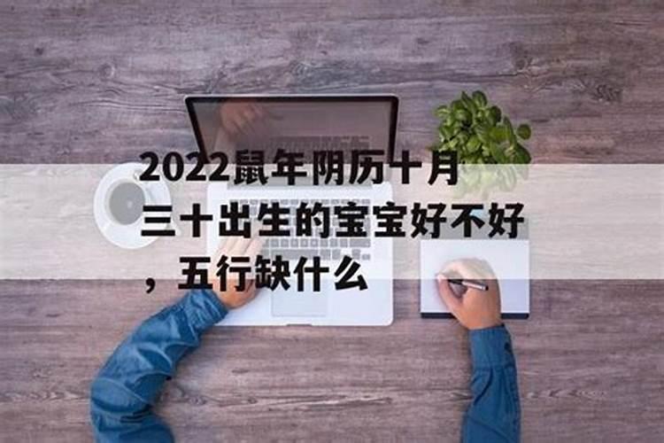 属鼠的出生于1996年阴历07月15日是什麽星座