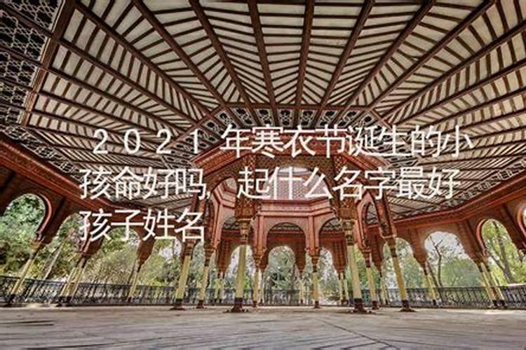 属狗出生最好六个吉日