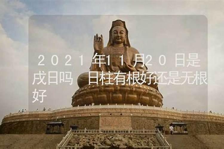 八字,什么叫无根？例如天干 有癸,但是地支没有水!却有 金,算有根还是无...