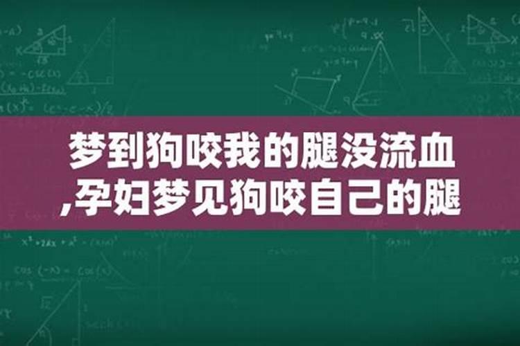 我梦见我被狗咬伤了腿还出血了这么回事