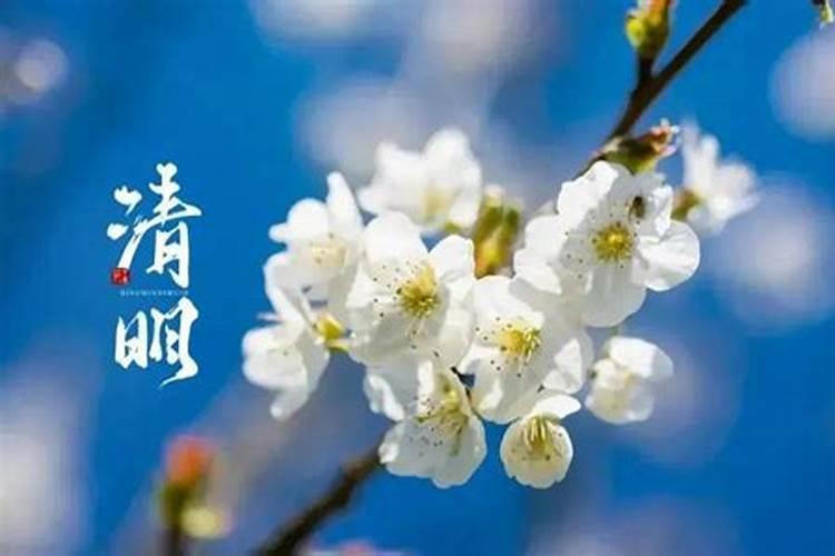 扫墓的来历