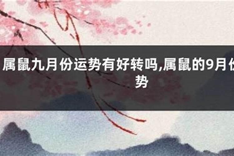 属鼠2024年每月运势及全年运势