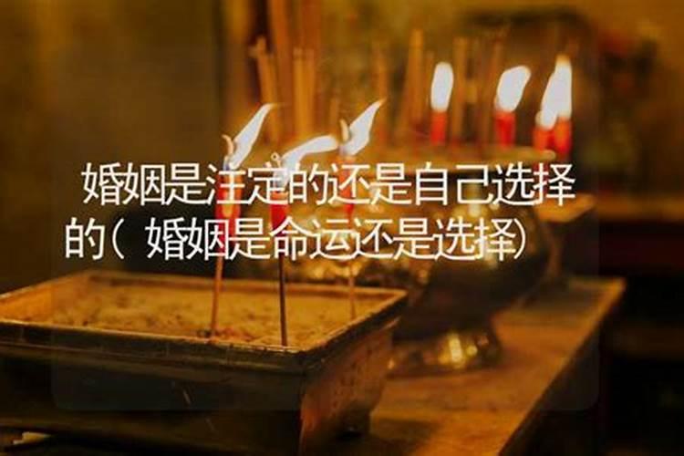 算命的说我一生有两次婚姻,离婚后又复婚算不算接两次婚