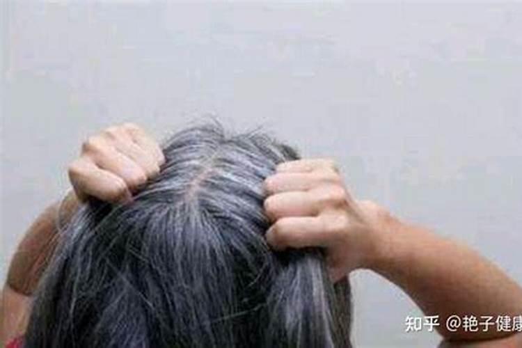 梦见白头发的老人的预兆