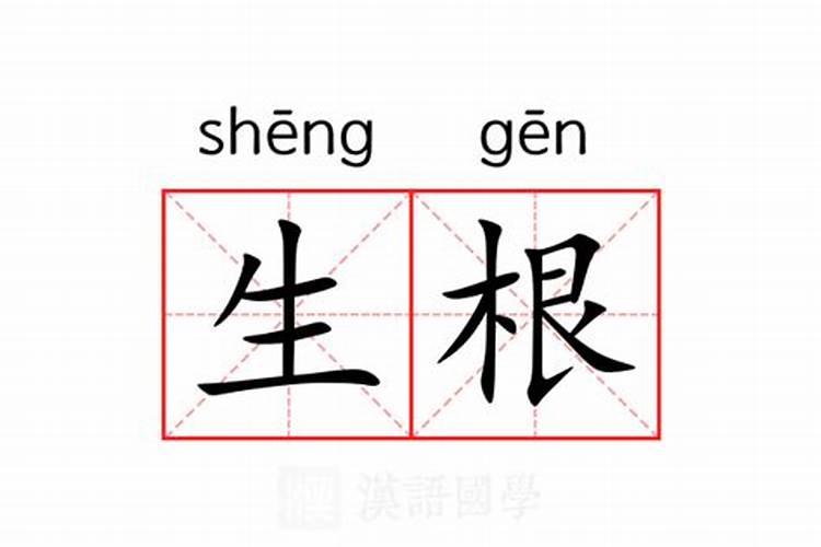 手上长根白毛看手相算命