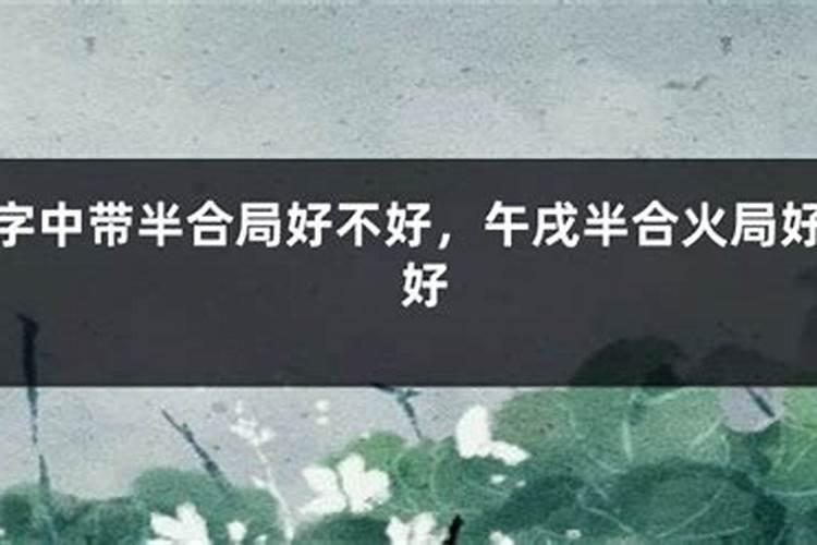 八字半合是什么意思