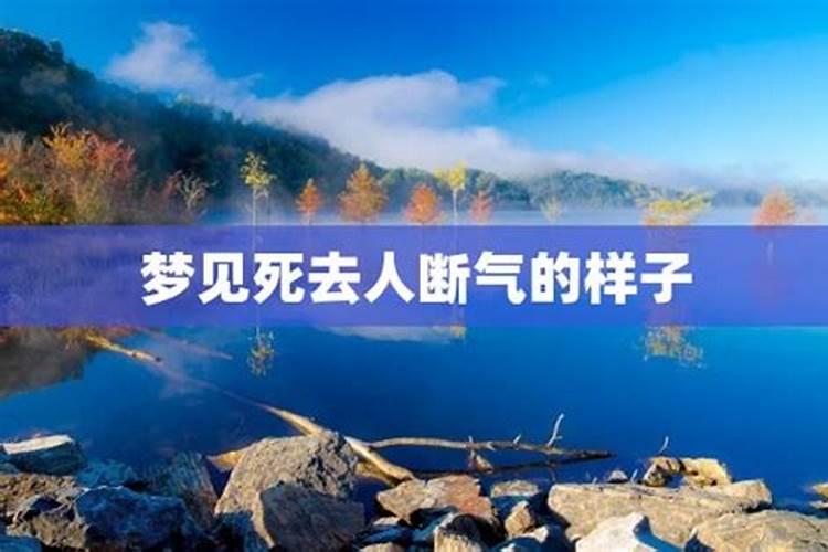 梦见已故老人快去世的样子的预兆