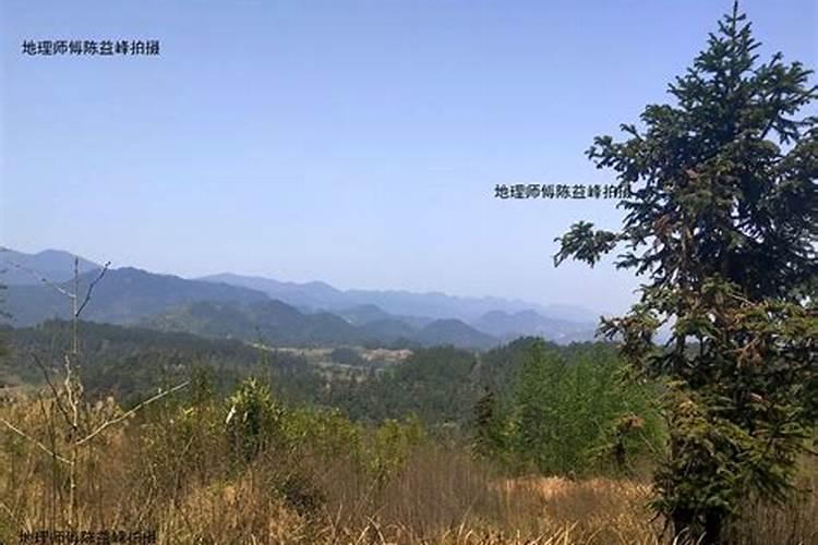 家里什么方位旺儿子放什么能旺儿子？
