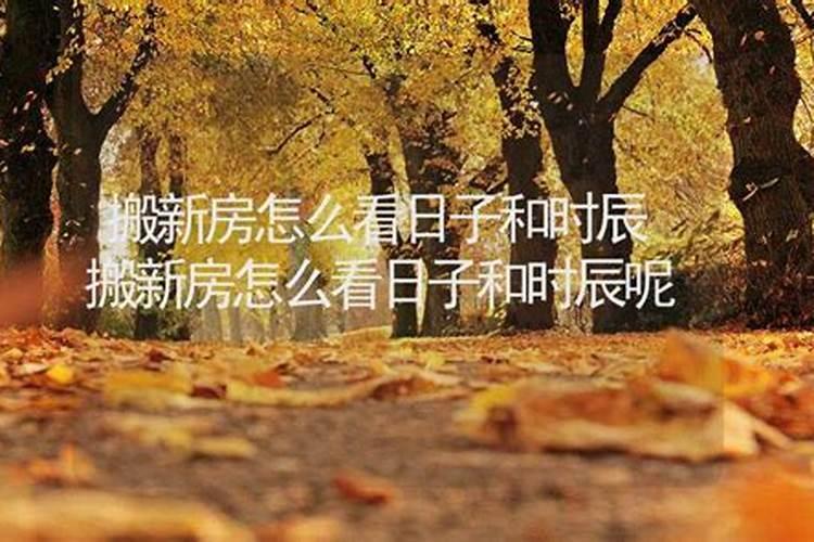 立冬如何养生最好？