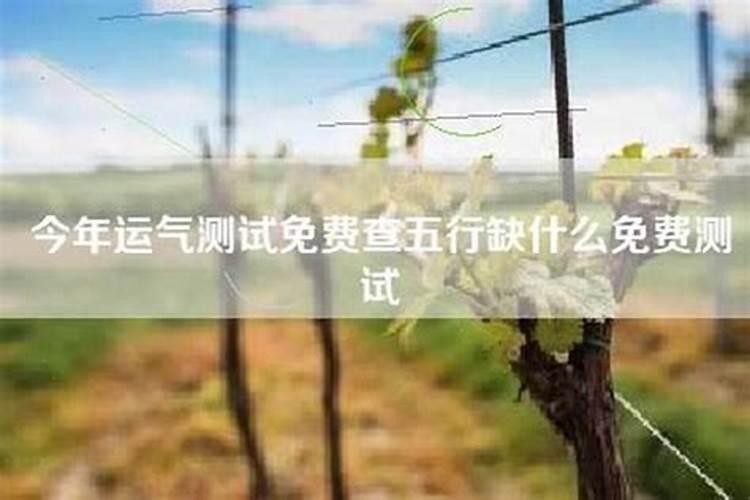 龙女下半年每个月运势