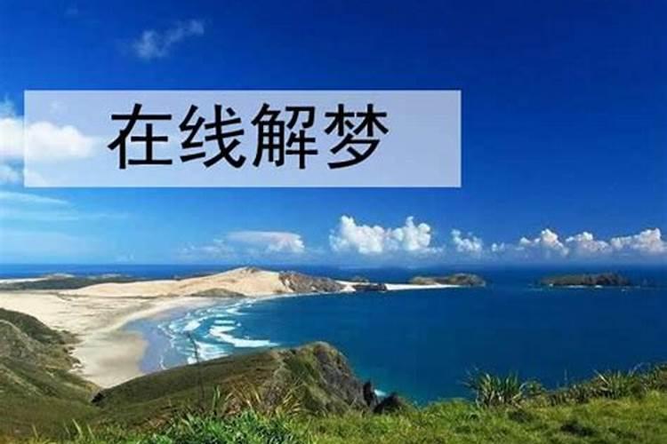 梦见猫跑到床上来的预兆