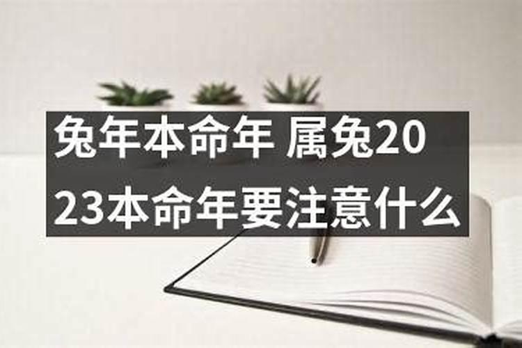 属猪人在夏至出世好不好？夏季出生的猪命理