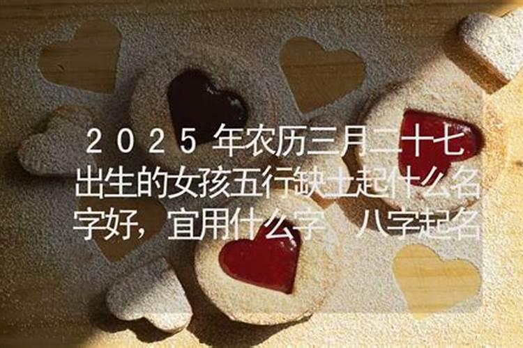1996年属相鼠是什么命,出生农历二月二十七