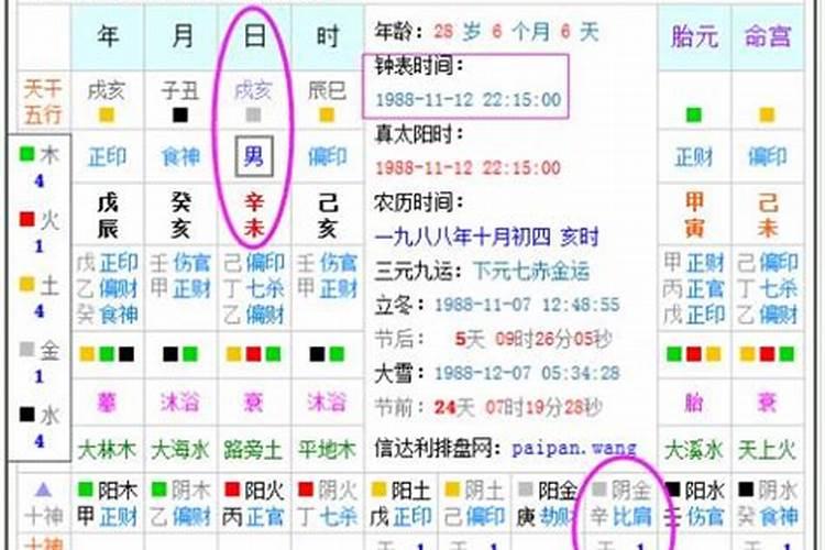 属猪的农历二月27曰出生命运之轮