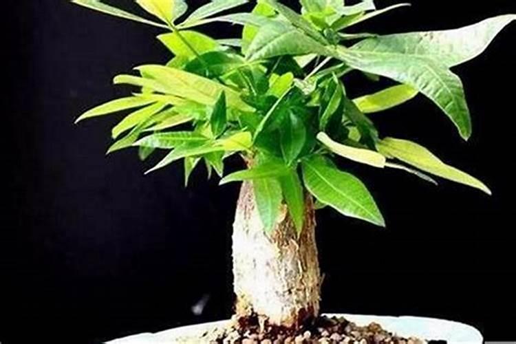 梦见别人家建房子的预兆