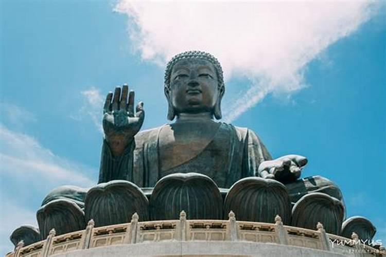 沈阳228公交车年三十和初一正常运行吗