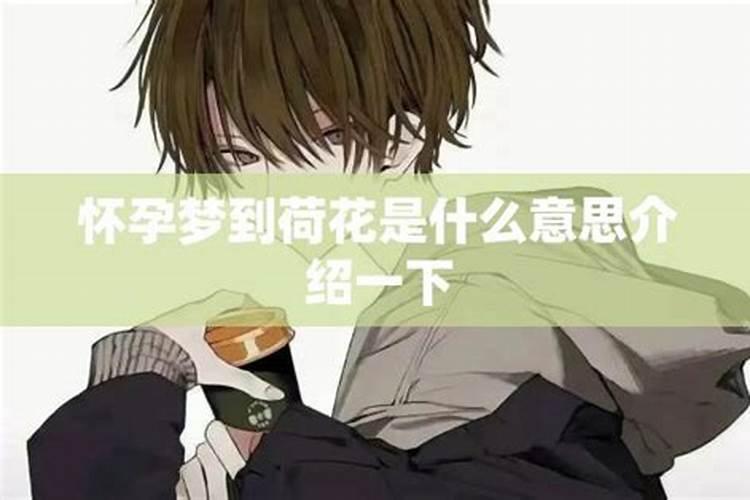 备孕梦见荷花是胎梦吗