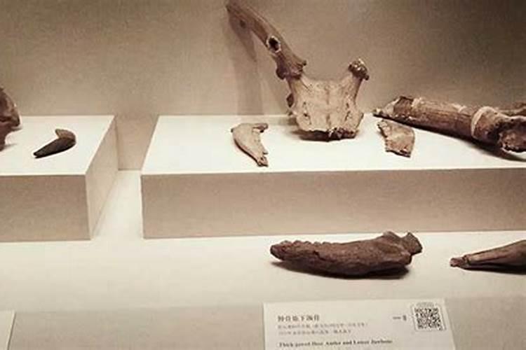 梦见不认识的女尸是什么预兆