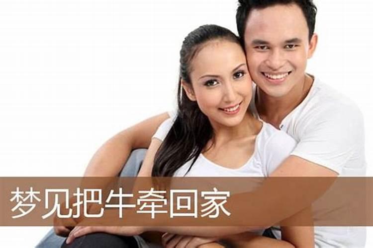 梦见牵着一头牛有什么预兆