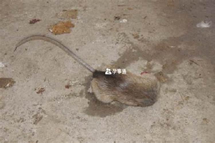 元宵节的由来是什么 元宵节三大由来传说