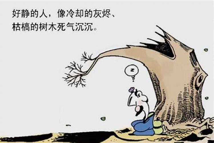 二十四节气的特点(运用描写手法、修辞手法)