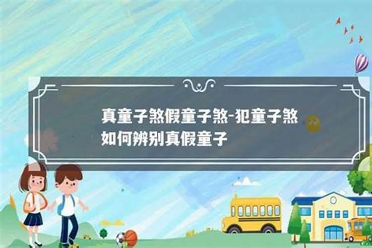 八字免费查真假童子