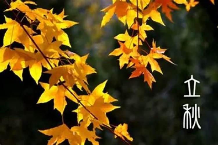 二十四节气8月8日立秋节气祝福语短信有哪些？