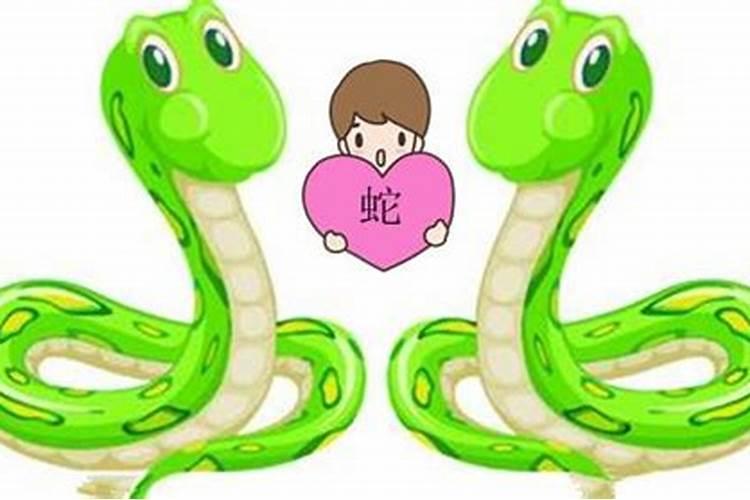男蛇女龙婚姻相配吗