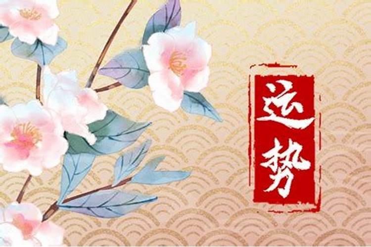 属鸡人永远最旺的颜色 属鸡人永远最旺的颜色是白色吗