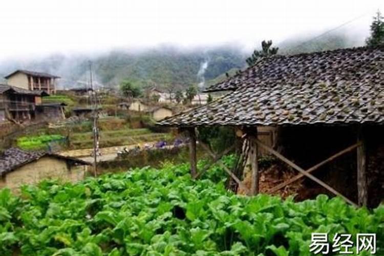 梦见家乡农村成为城市的预兆