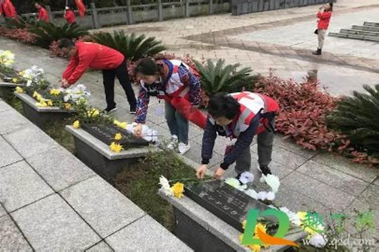 不是清明节可以去墓地烧纸吗