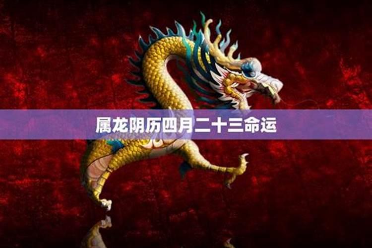 我是2000年12月22日农历出生的是属龙还是属蛇