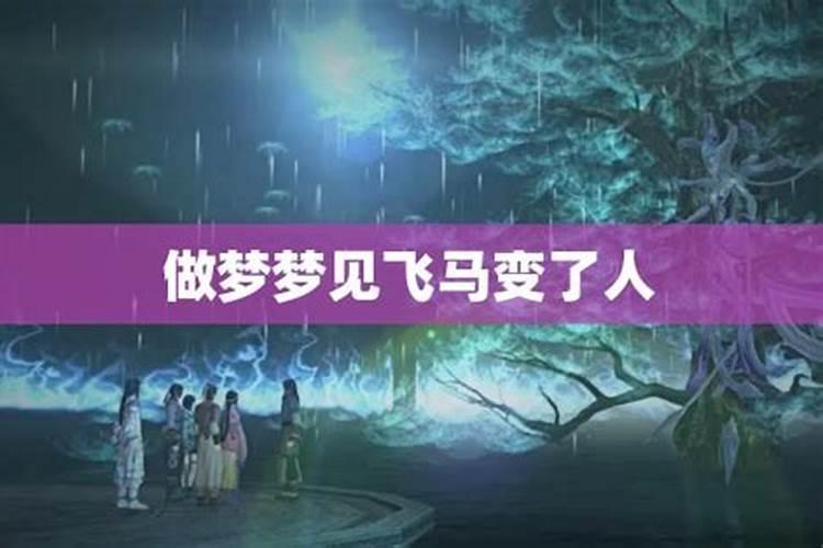 梦见飞马在天上飞是什么意思