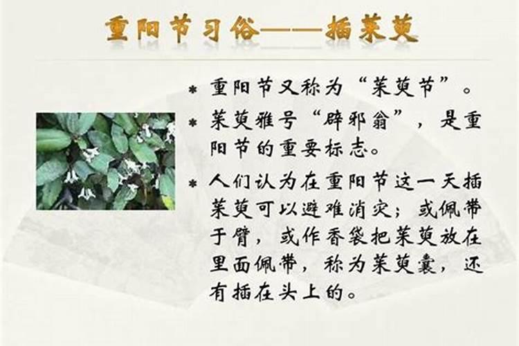 什么是客家人的风俗？(越短越好)