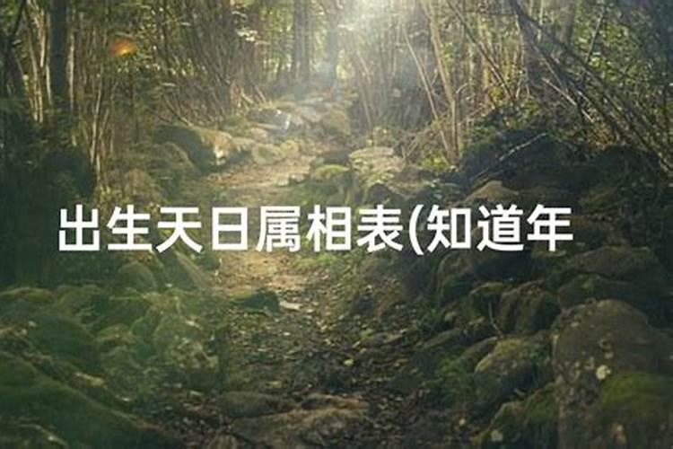 出生年月日就可以算命