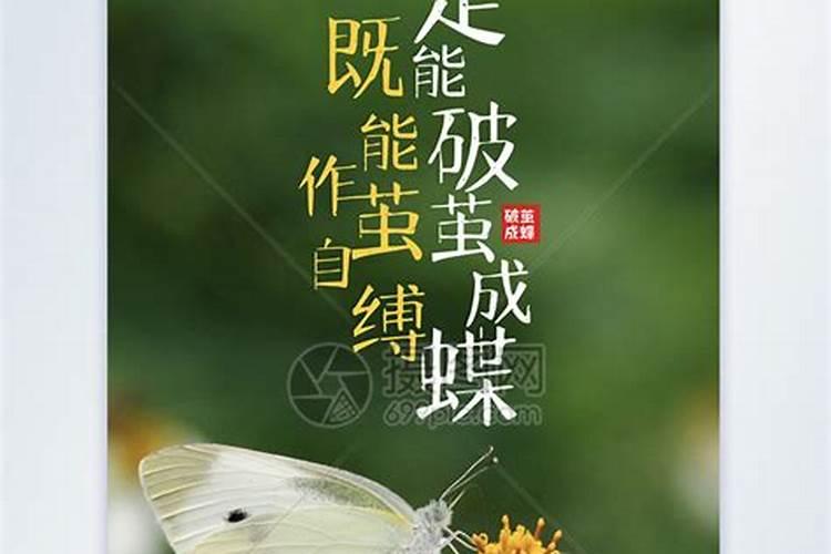 为什么亲人去世的灵堂会飞来蝴蝶？