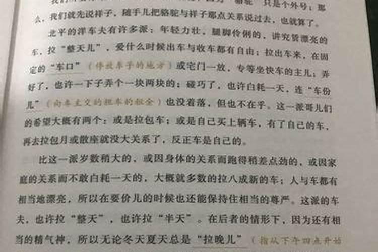 骆驼祥子第九章简单概括30字
