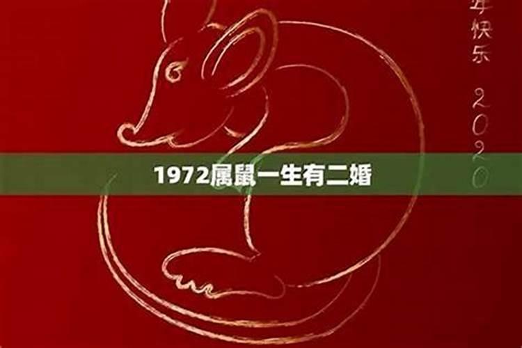 1984年属鼠的女人一生命运 1984年属鼠女一生会有几次婚姻