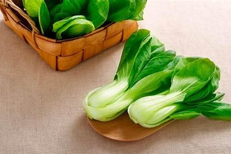 梦到青菜什么意思