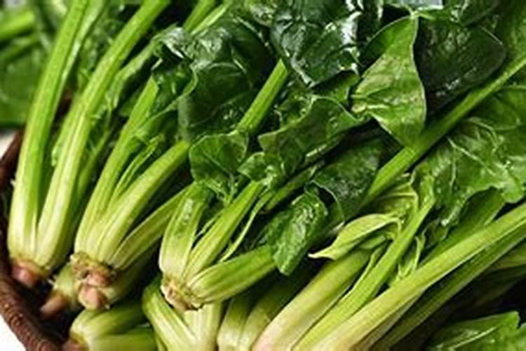 梦到吃青菜是什么意思？