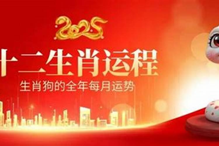 2025十二生肖每月运程运势详解