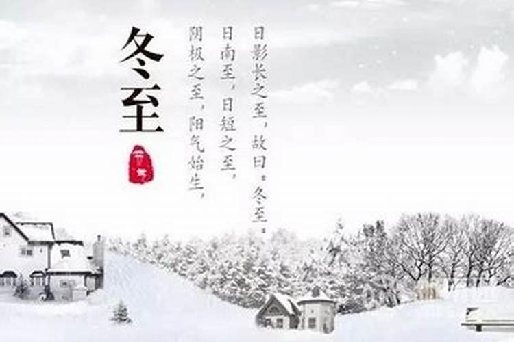 属猪1995年8月26生日命运