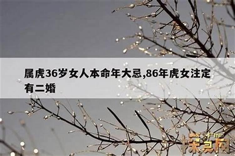 歌曲《映山红》歌词