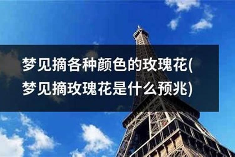 梦见漂亮的鲜花的预兆