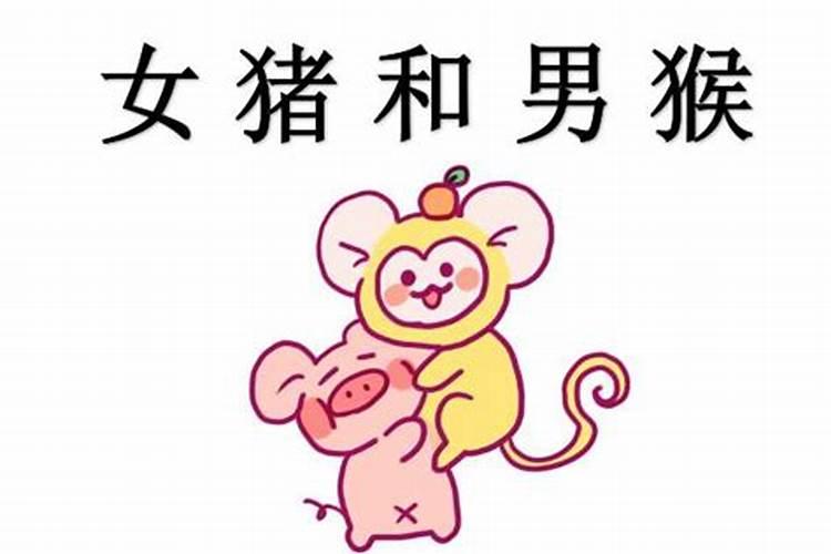 猪猴属相婚配好不好
