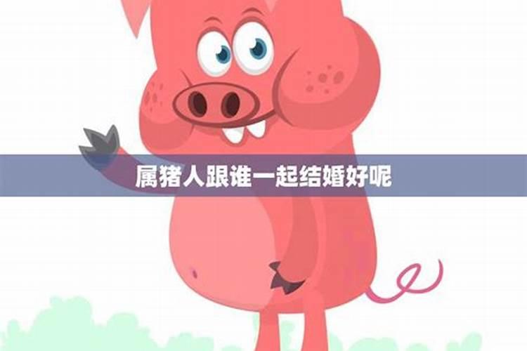 属猪的婚姻和命运怎么样？