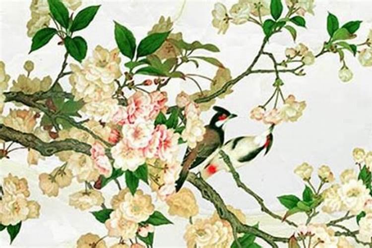 女人36本命年有什么讲究