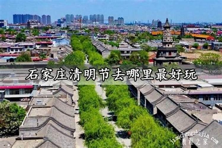 农历8月出生属鸡人命好吗